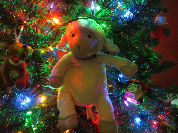 2015 is the Year of the Sheep...YAAAAAAY!!!!!!